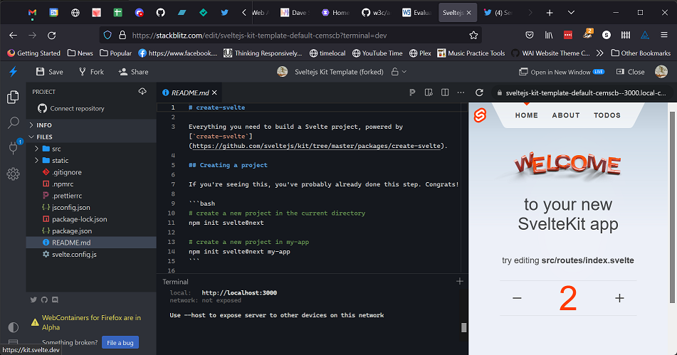 A web browser showing files, terminal and preview
